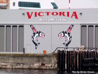 Photo-Cruise-Ships-2-Terminal-IN VICTORIA BC-2008-09-20